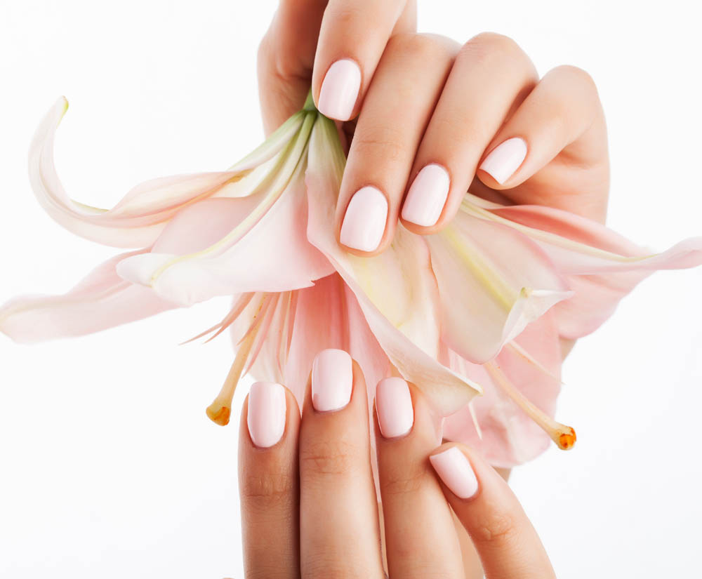 Nagel Naturnagelverstarkung Um Den Naturnageln Stabilitat Zu Verschaffen Werden Diese Mit Einer Dunnen Gelschicht Uberzogen 35 Minuten 40 Nagelmodellage Erstbehandlung Natur Nagelverlangerung Mittels Schablone In 